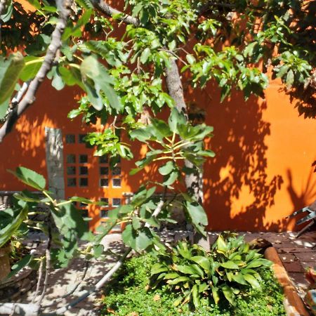 Ex Hacienda Apartment Guanajuato Bagian luar foto